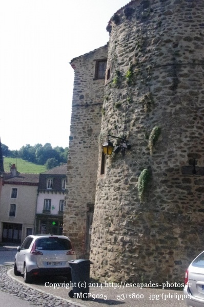 IMGP9025__531x800_.jpg