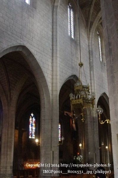 IMGP9001__800x531_.jpg