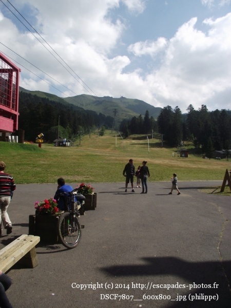 DSCF7807__600x800_.jpg