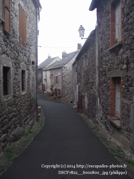 DSCF7822__600x800_.jpg