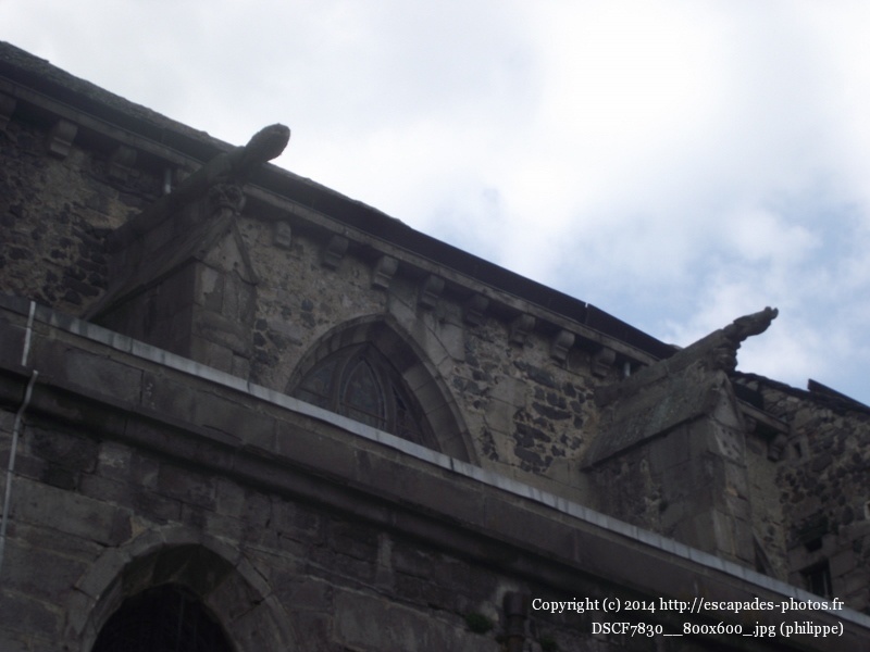 DSCF7830__800x600_.jpg