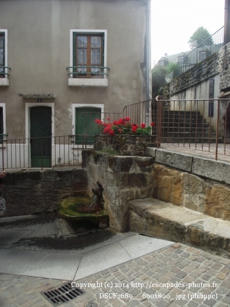 DSCF7689__600x800_.jpg
