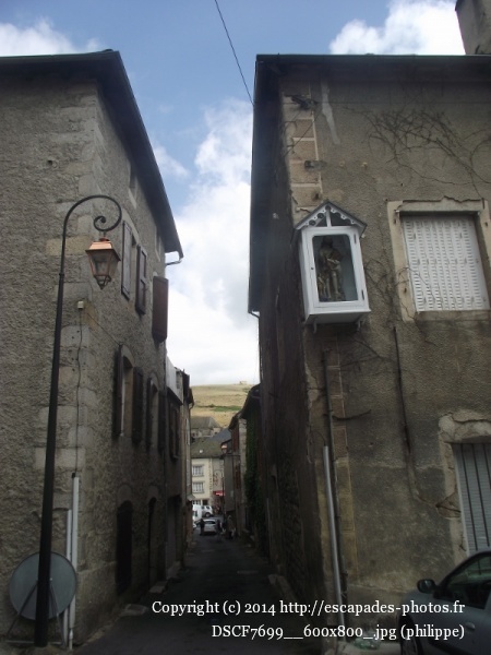 DSCF7699__600x800_.jpg