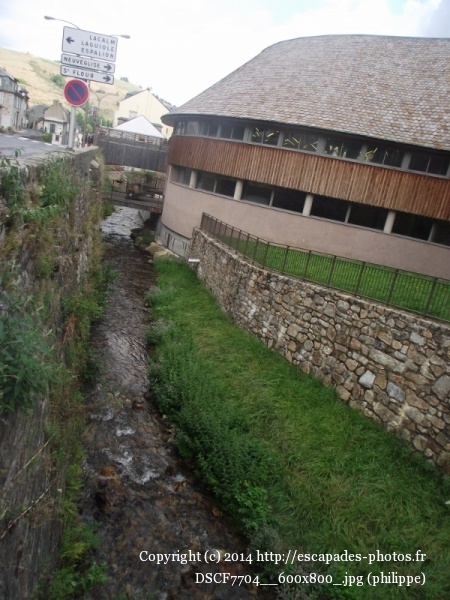 DSCF7704__600x800_.jpg