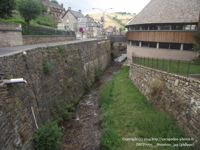 DSCF7705__800x600_.jpg