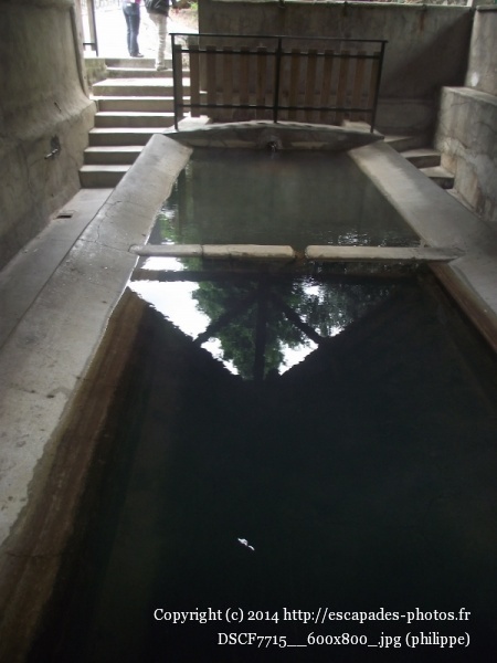 DSCF7715__600x800_.jpg