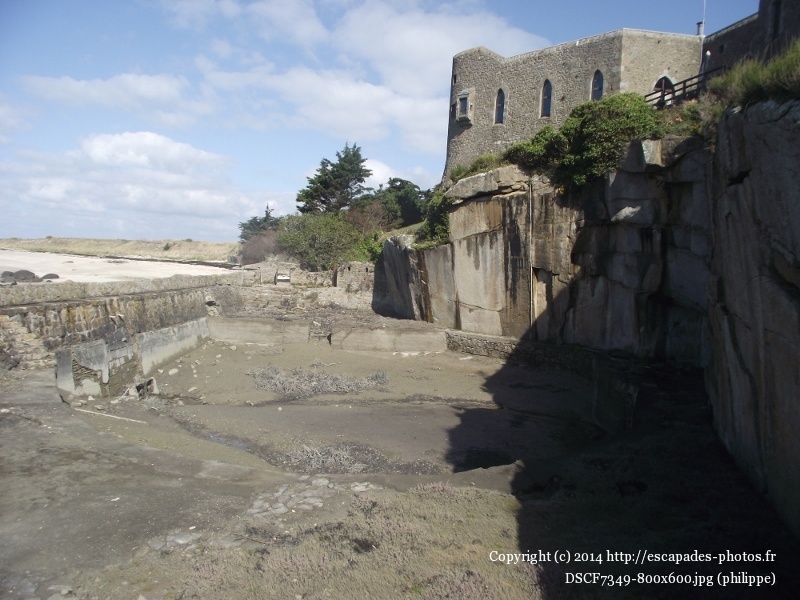 DSCF7349 (800x600).jpg