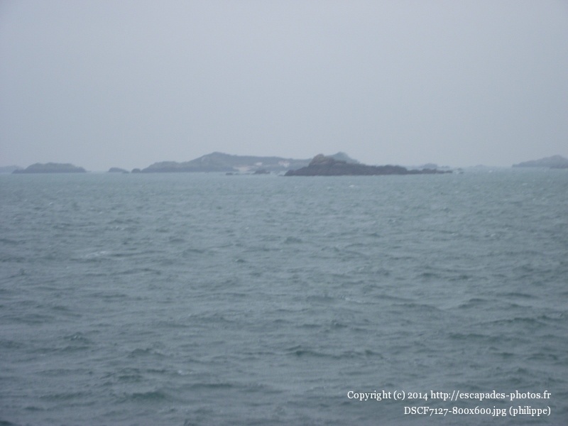 DSCF7127 (800x600).jpg