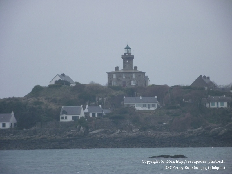 DSCF7145 (800x600).jpg