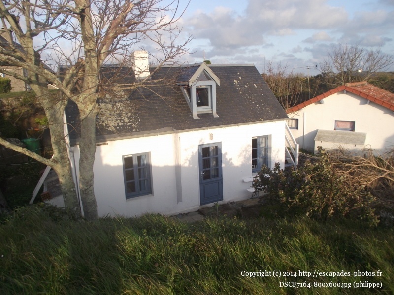 DSCF7164 (800x600).jpg