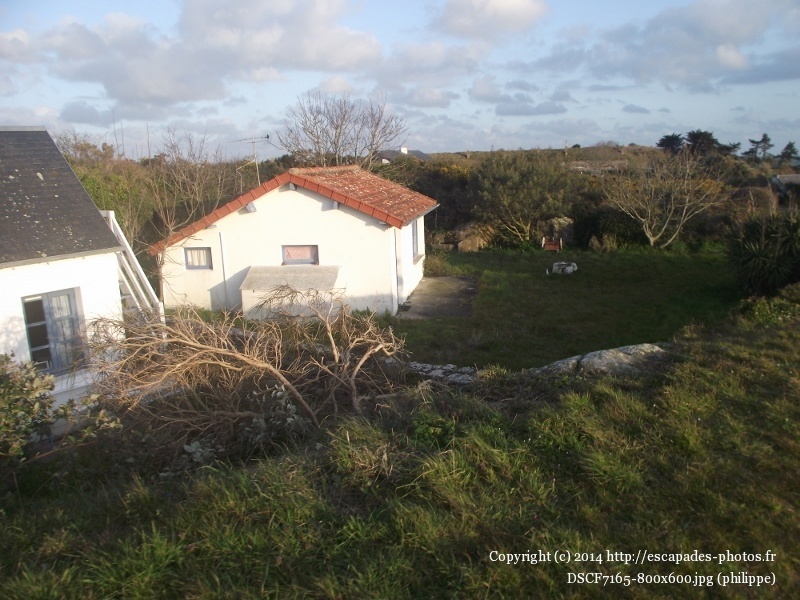 DSCF7165 (800x600).jpg