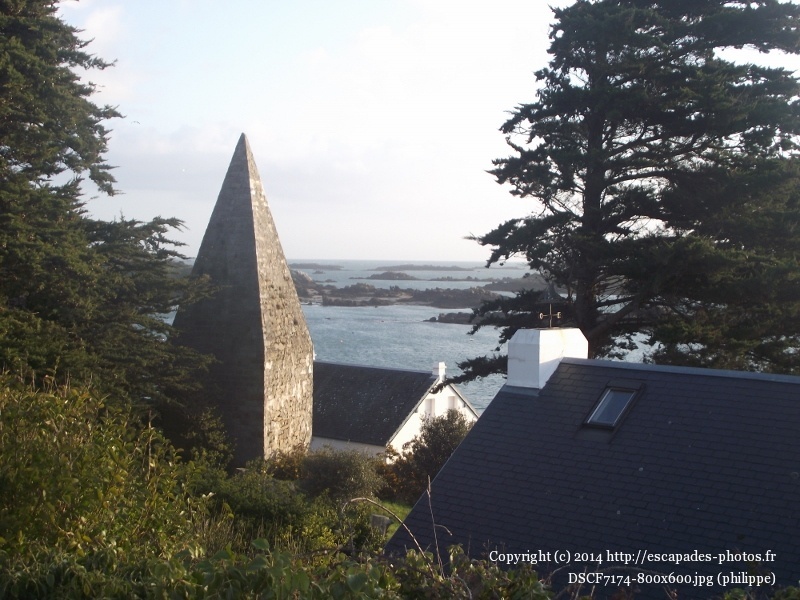 DSCF7174 (800x600).jpg