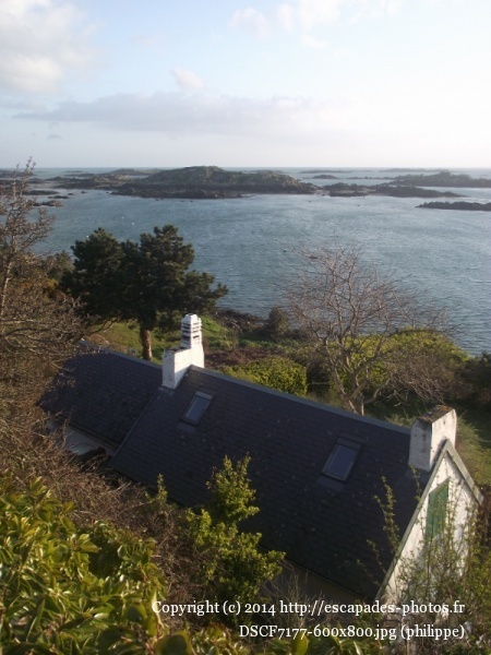 DSCF7177 (600x800).jpg