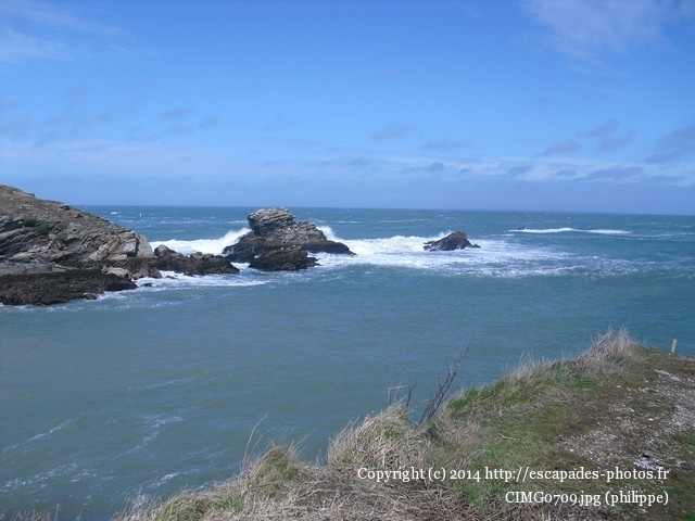 CIMG0709.jpg