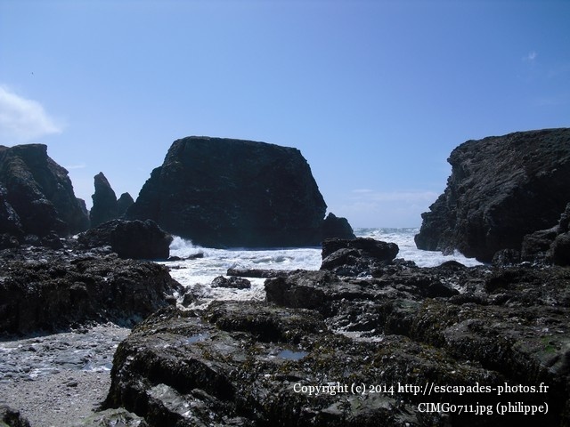 CIMG0711.jpg