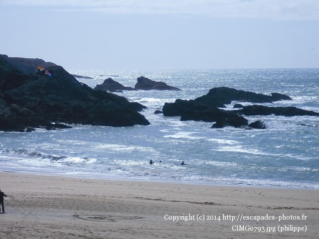 CIMG0793.jpg