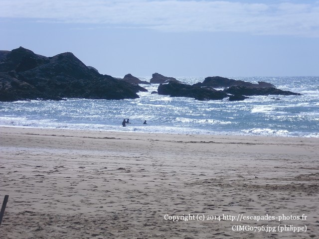 CIMG0796.jpg