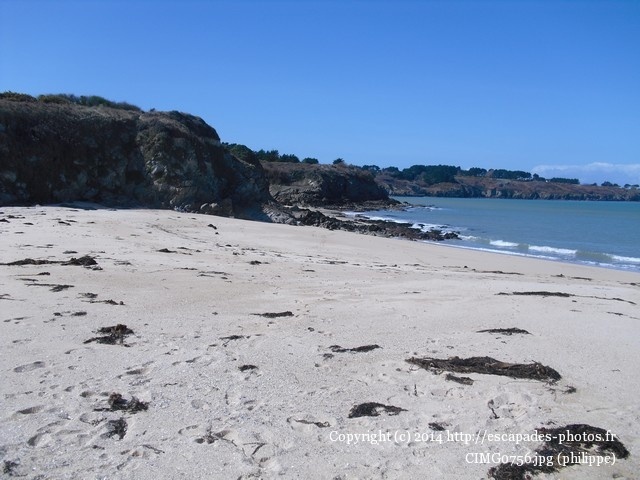 CIMG0756.jpg