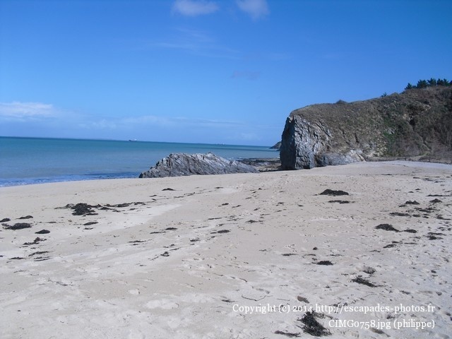 CIMG0758.jpg