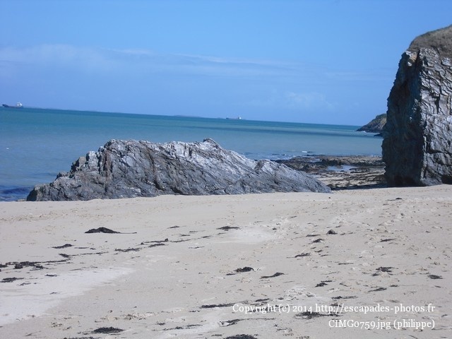 CIMG0759.jpg