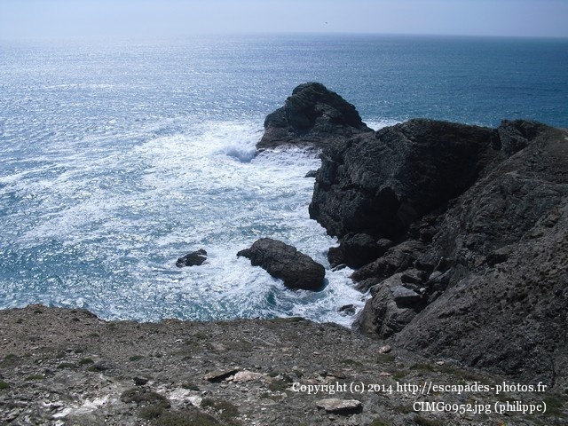 CIMG0952.jpg