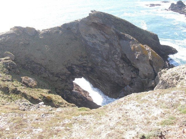 CIMG0971.jpg