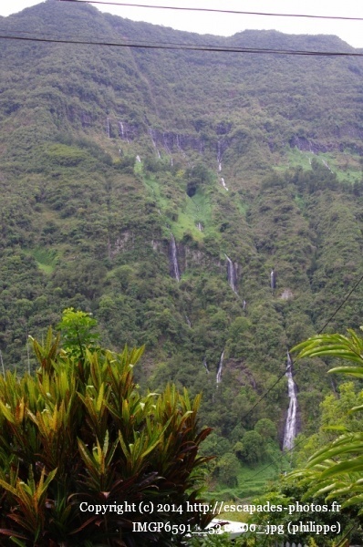 IMGP6591__531x800_.jpg