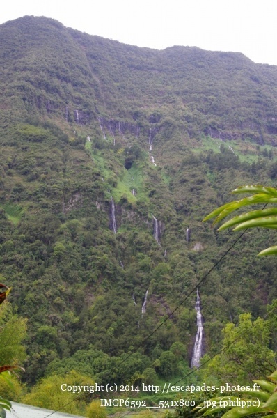 IMGP6592__531x800_.jpg