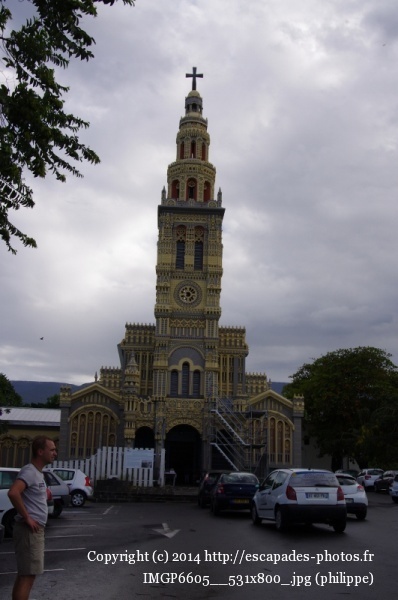 IMGP6605__531x800_.jpg