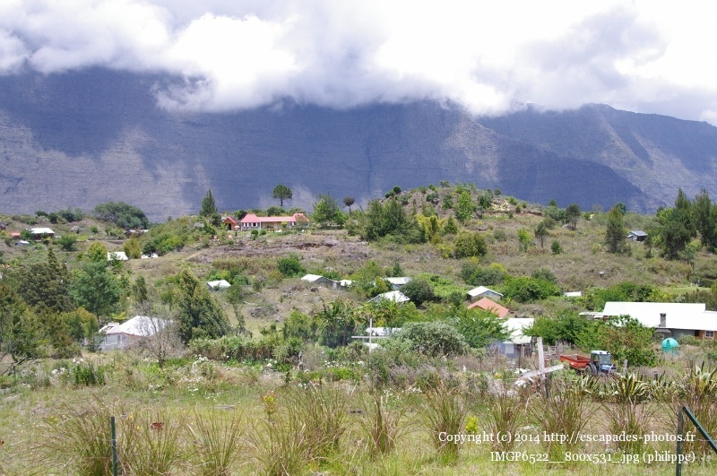 IMGP6522__800x531_.jpg