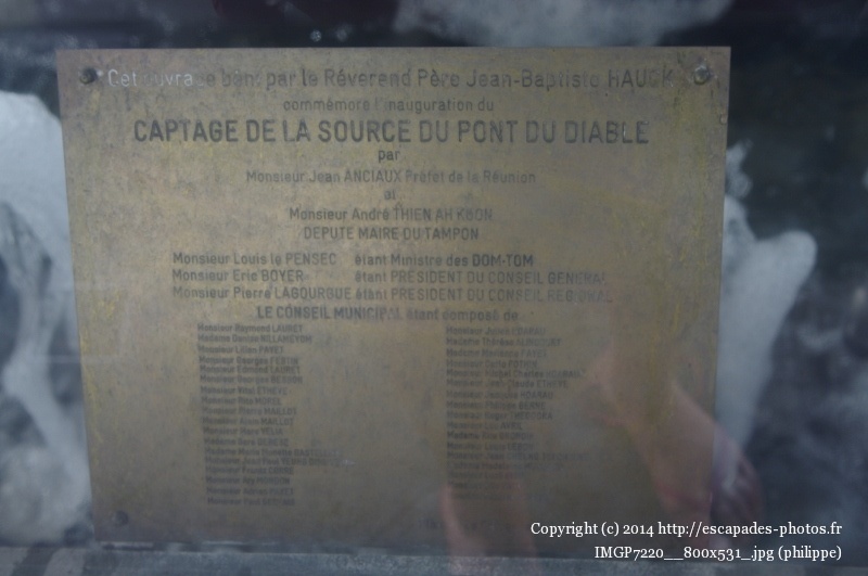 IMGP7220__800x531_.jpg