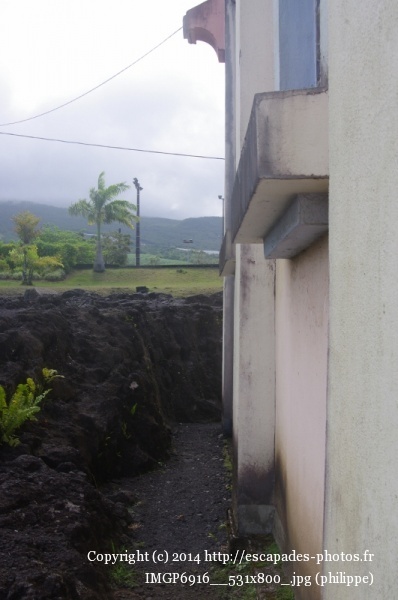 IMGP6916__531x800_.jpg