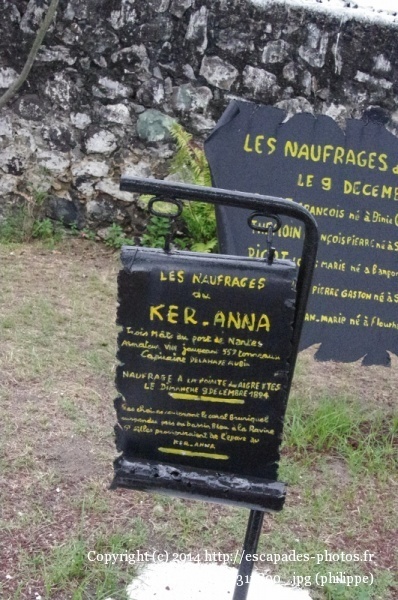 IMGP8198__531x800_.jpg