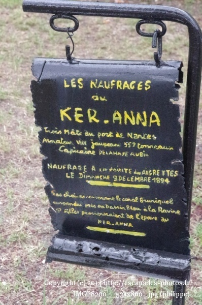 IMGP8200__531x800_.jpg