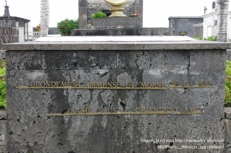 IMGP8205__800x531_.jpg