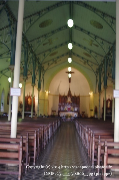 IMGP7231__531x800_.jpg