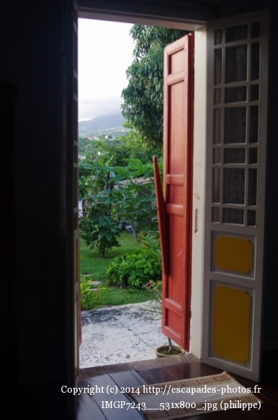 IMGP7243__531x800_.jpg