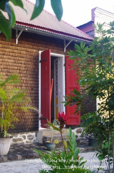 IMGP7251__531x800_.jpg
