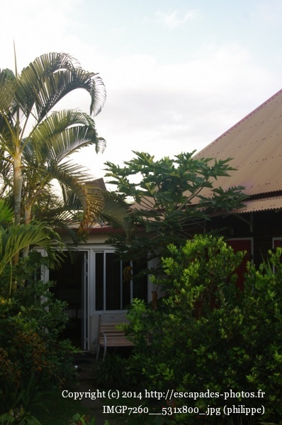 IMGP7260__531x800_.jpg
