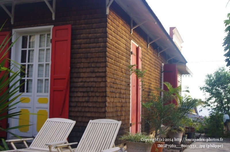 IMGP7262__800x531_.jpg