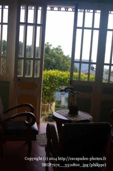 IMGP7272__531x800_.jpg