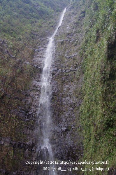 IMGP7108__531x800_.jpg