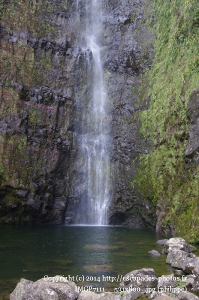 IMGP7111__531x800_.jpg