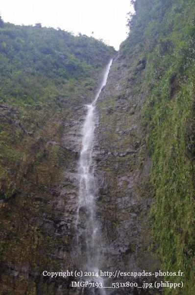 IMGP7193__531x800_.jpg