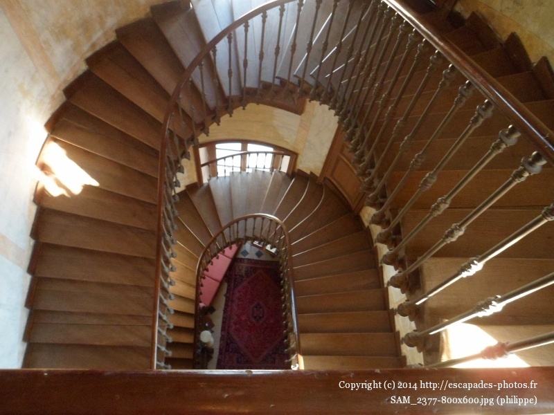 SAM_2377 (800x600).jpg