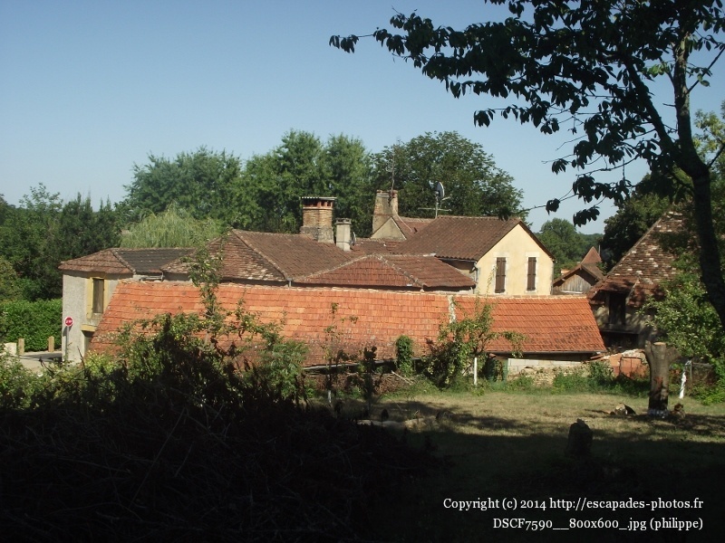 DSCF7590__800x600_.jpg