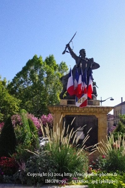 IMGP8799__531x800_.jpg