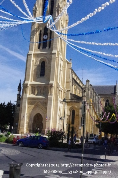 IMGP8809__531x800_.jpg