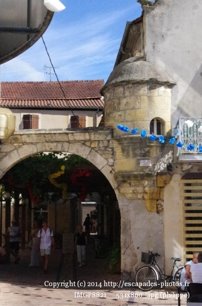 IMGP8821__531x800_.jpg