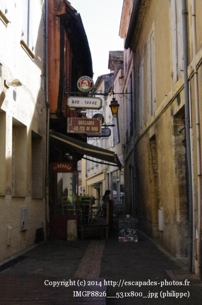 IMGP8826__531x800_.jpg